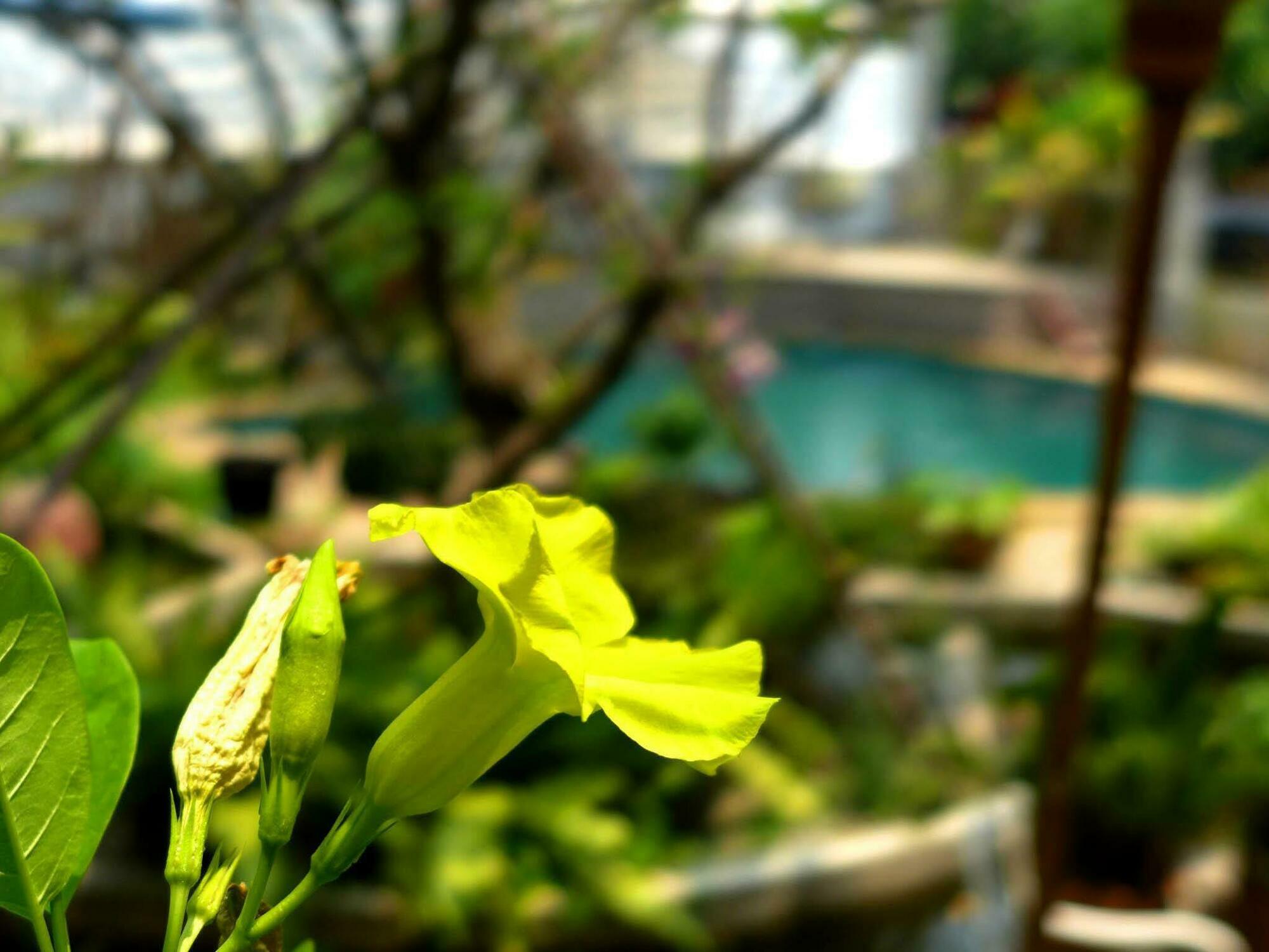Casa de hóspedes Yi's Garden